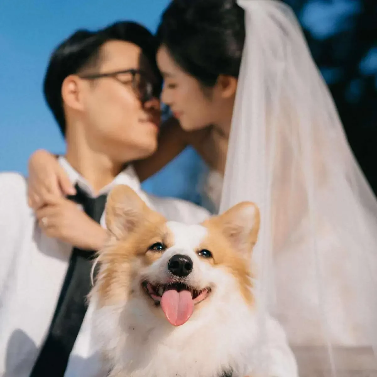Chúng mình đã từng...